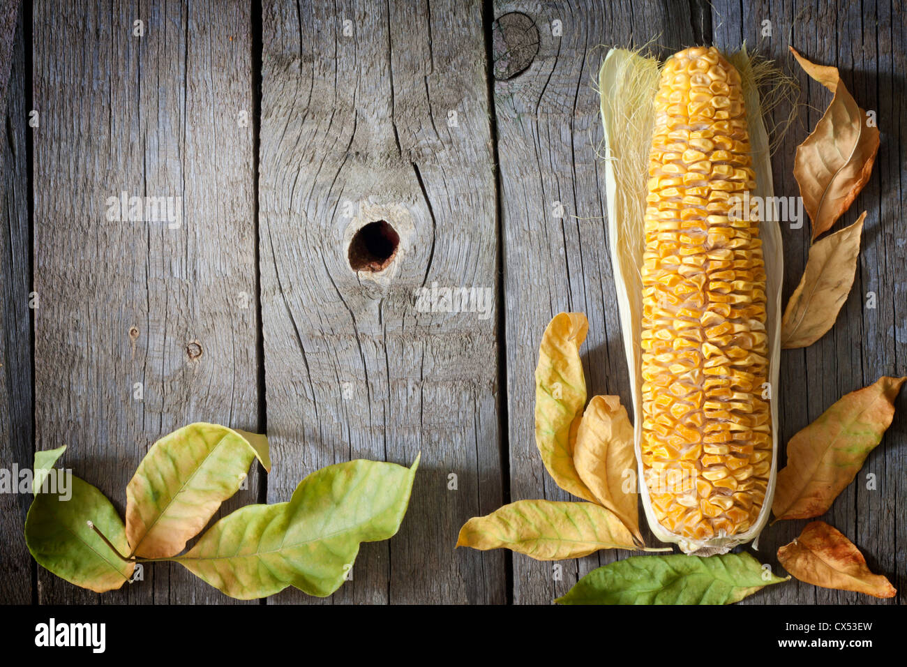 Feuilles d'automne sur les planches de bois à l'arrière-plan de maïs Banque D'Images