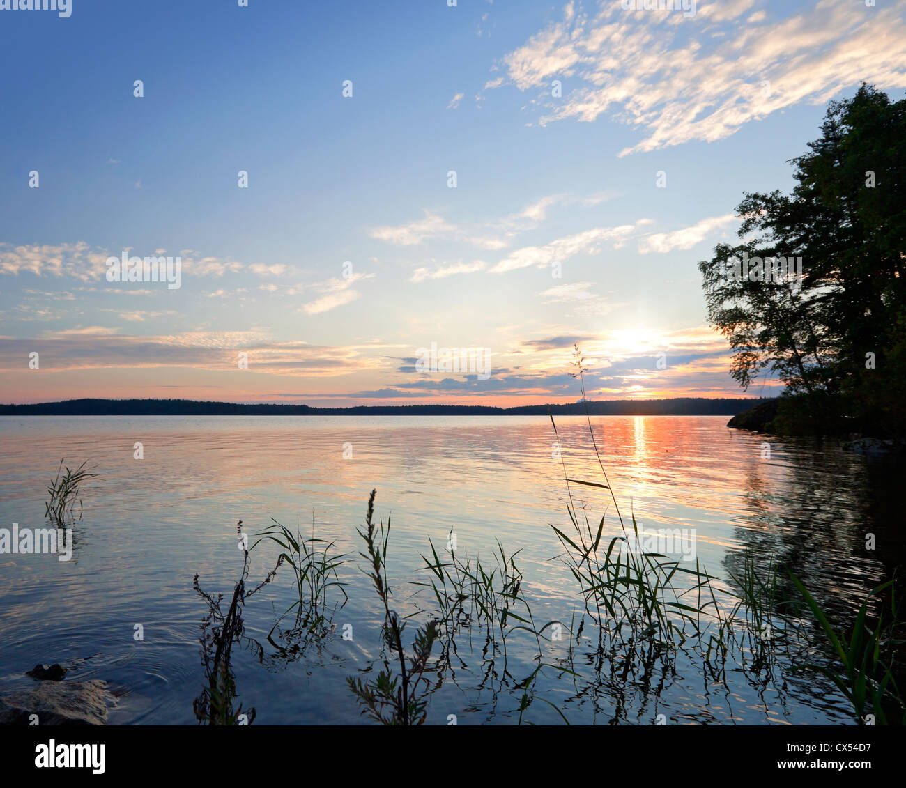 Paysage côtier matin. Le lac Saimaa, Finlande Banque D'Images