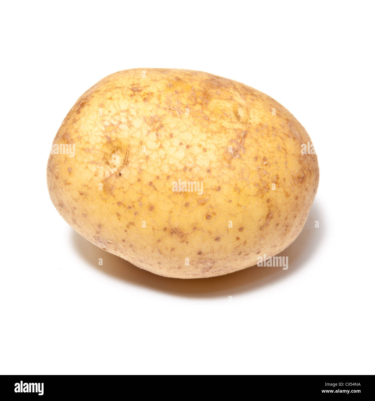 Pomme de terre blanche isolée sur un fond de studio. Banque D'Images