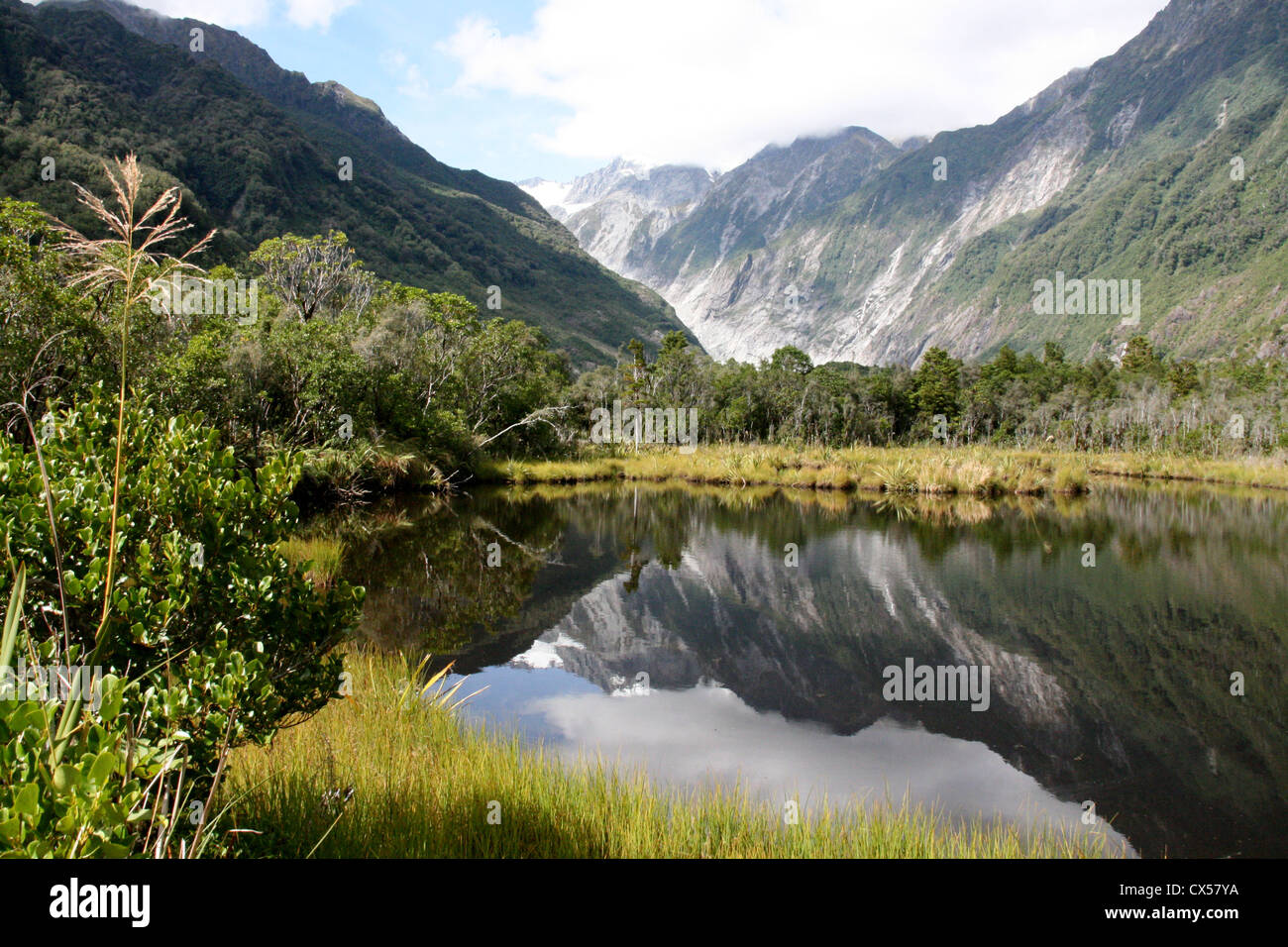 Peter's Pool, Franz Josef Glacier, île du Sud, Nouvelle-Zélande Banque D'Images