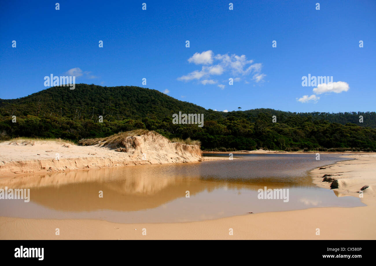 Plage Près de lagunes Bicheno, Côte Est de la Tasmanie, Australie Banque D'Images