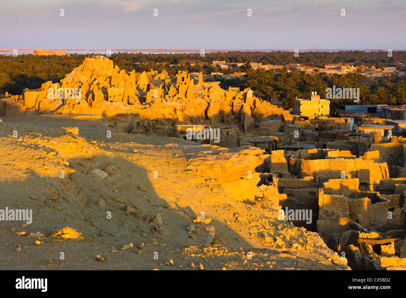Citadelle de Shali au crépuscule avec temple d'Oracle et la palmeraie en arrière-plan. L'oasis de Siwa, Egypte Banque D'Images