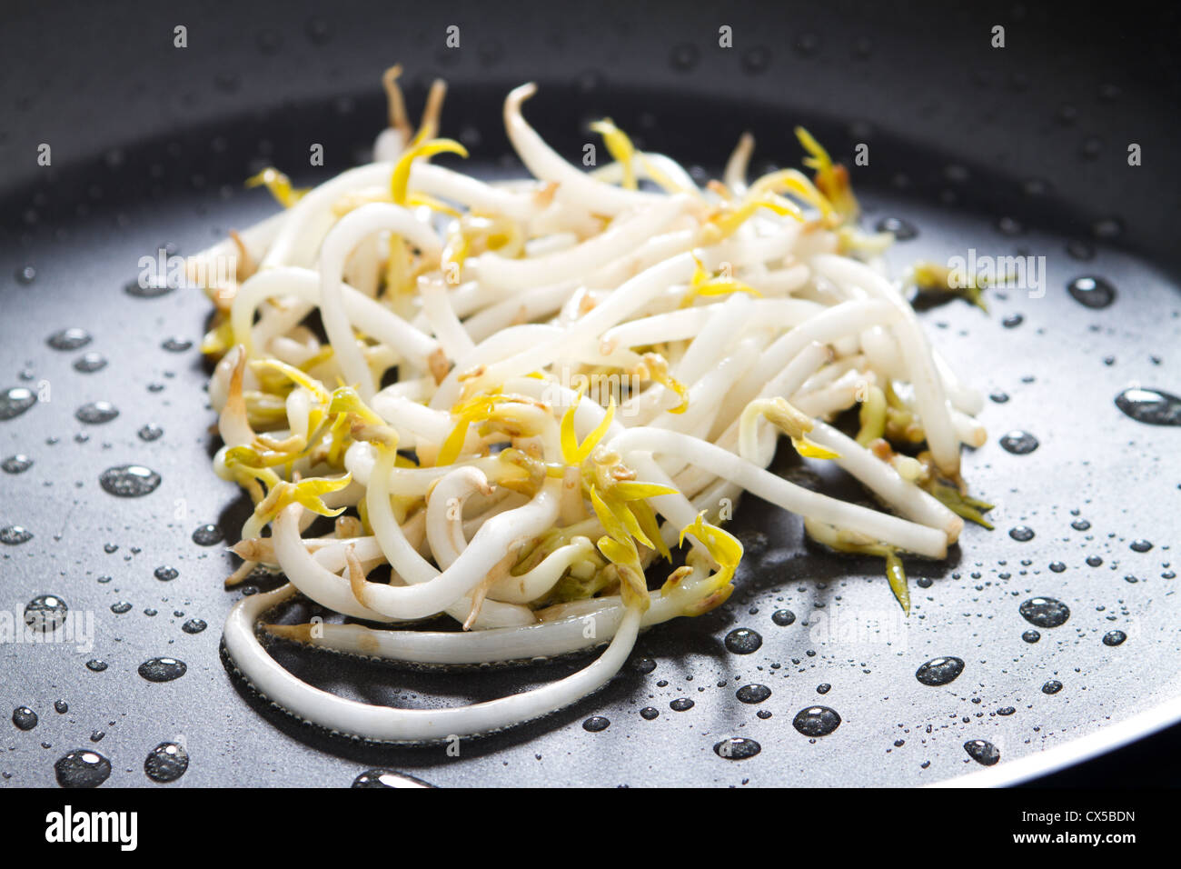 Sauter de haricot germé dans le moule Banque D'Images