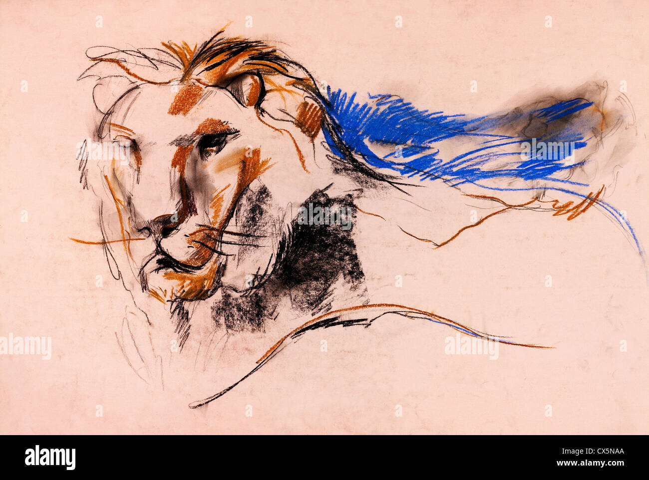 Vieux,pastel original grunge et dessinés à la main, croquis de travail un lion.composition libre Banque D'Images