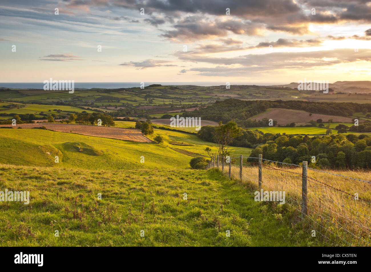 La vue depuis la colline Eggardon vers la côte du Dorset. Banque D'Images