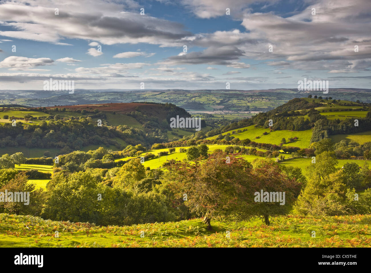 La faible lumière du midi attire l'espaces verts à la fin de l'extrémité orientale de l'Évangile, Brecon Beacons au Pays de Galles. Banque D'Images