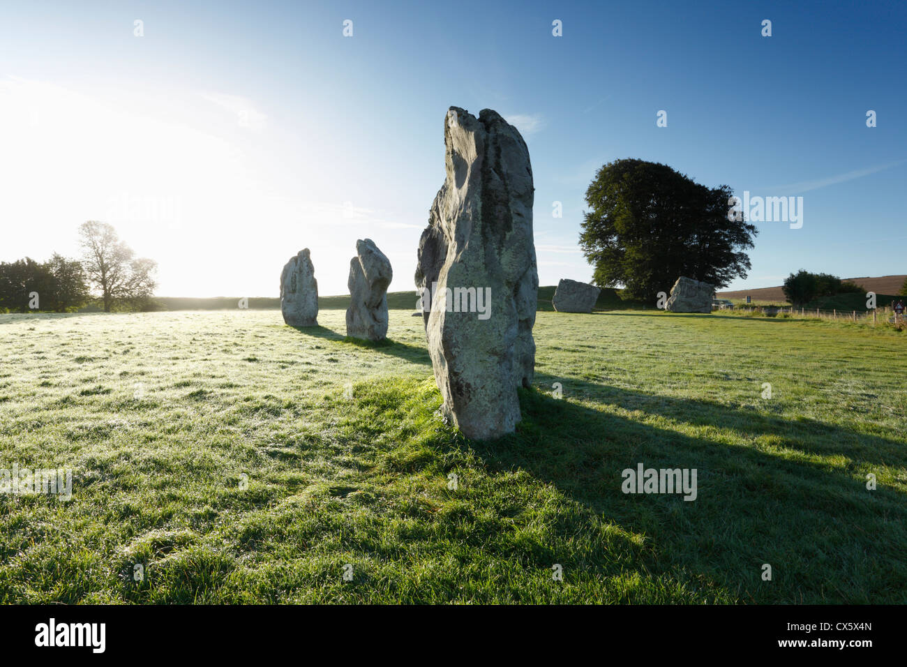 Avebury Stone Circle au lever du soleil. Le Wiltshire. L'Angleterre. UK. Banque D'Images