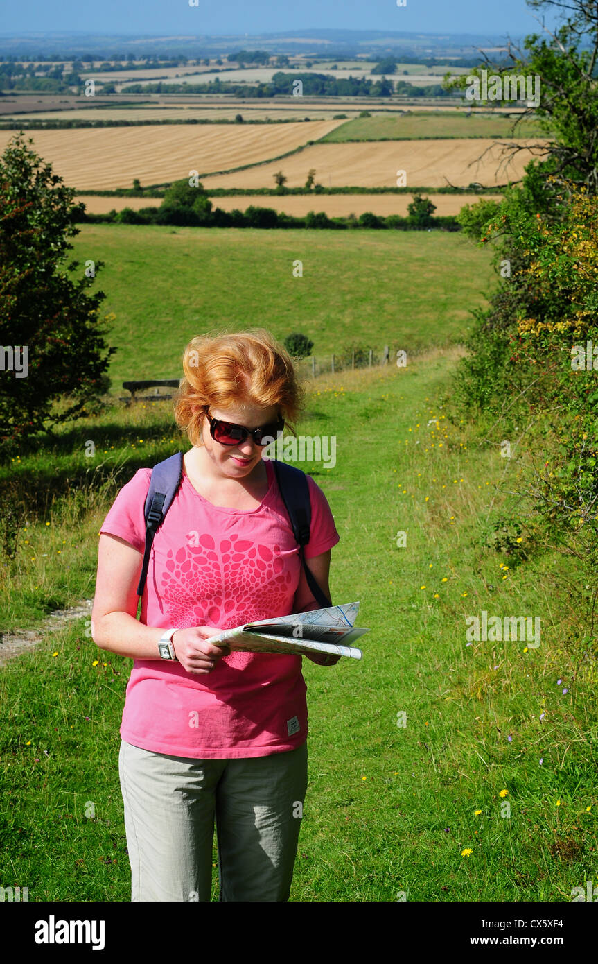 Femme regardant une carte dans la campagne, près de The Ridgeway, Chilterns, Oxfordshire, UK Banque D'Images