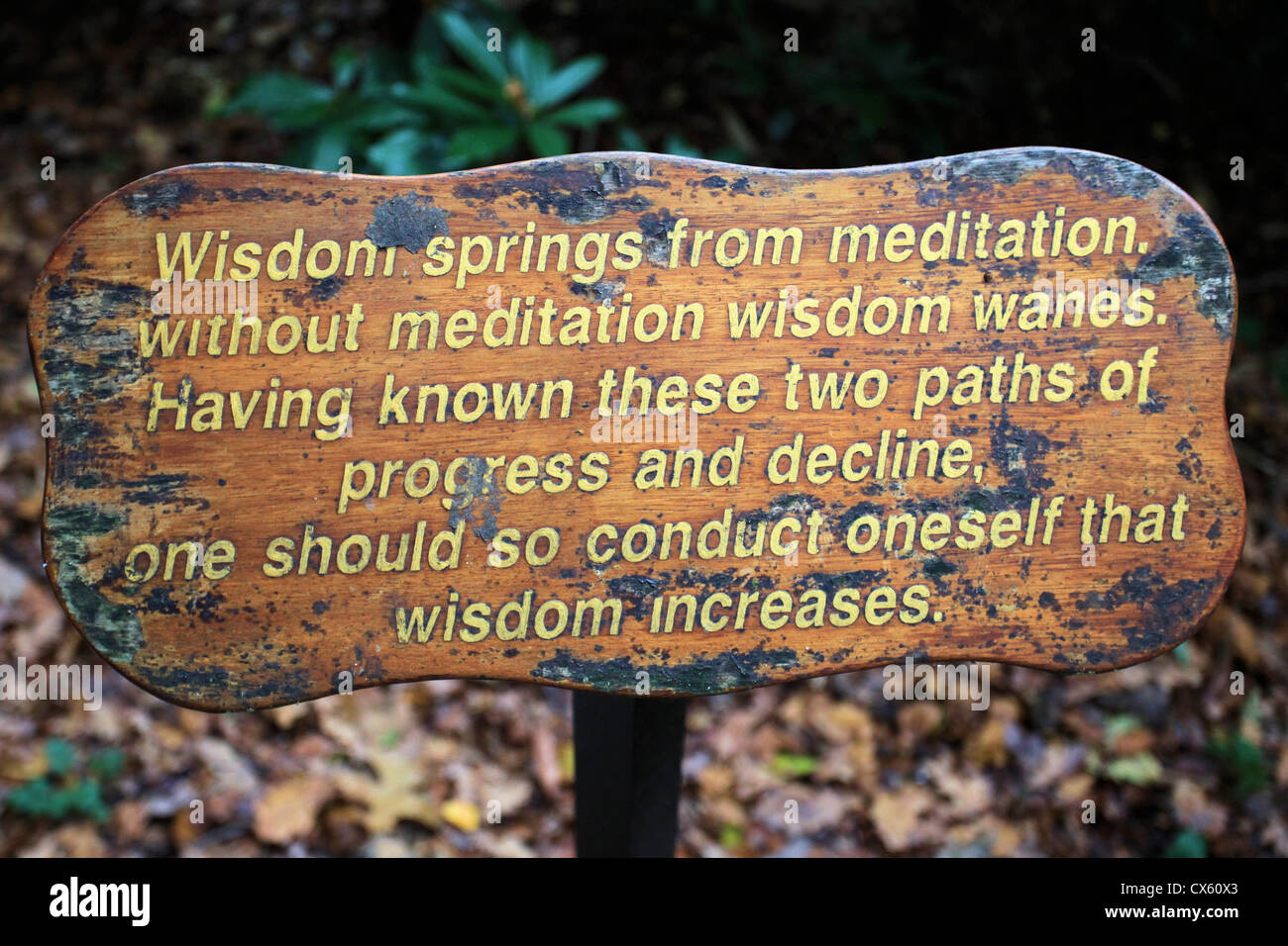 La sagesse bouddhiste en Wat Buddhapadipa Temple's garden, London, London Banque D'Images