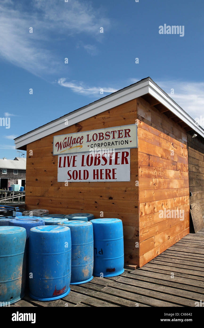 Le homard à la vente sur un quai dans la ville de l'Amitié, Maine Banque D'Images