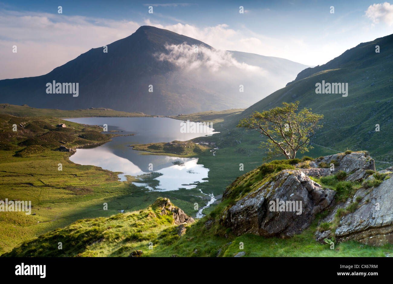 Le CWM Idwal en été, avec Llyn (LAC) Idwal et Pen An Wen Ole dans la distance, le parc national de Snowdonia, le Nord du Pays de Galles, Royaume-Uni Banque D'Images