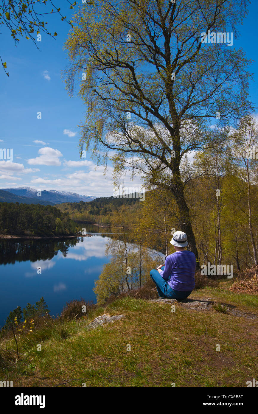Glen Affric, printemps, Inverness, Écosse, région des Highlands Banque D'Images