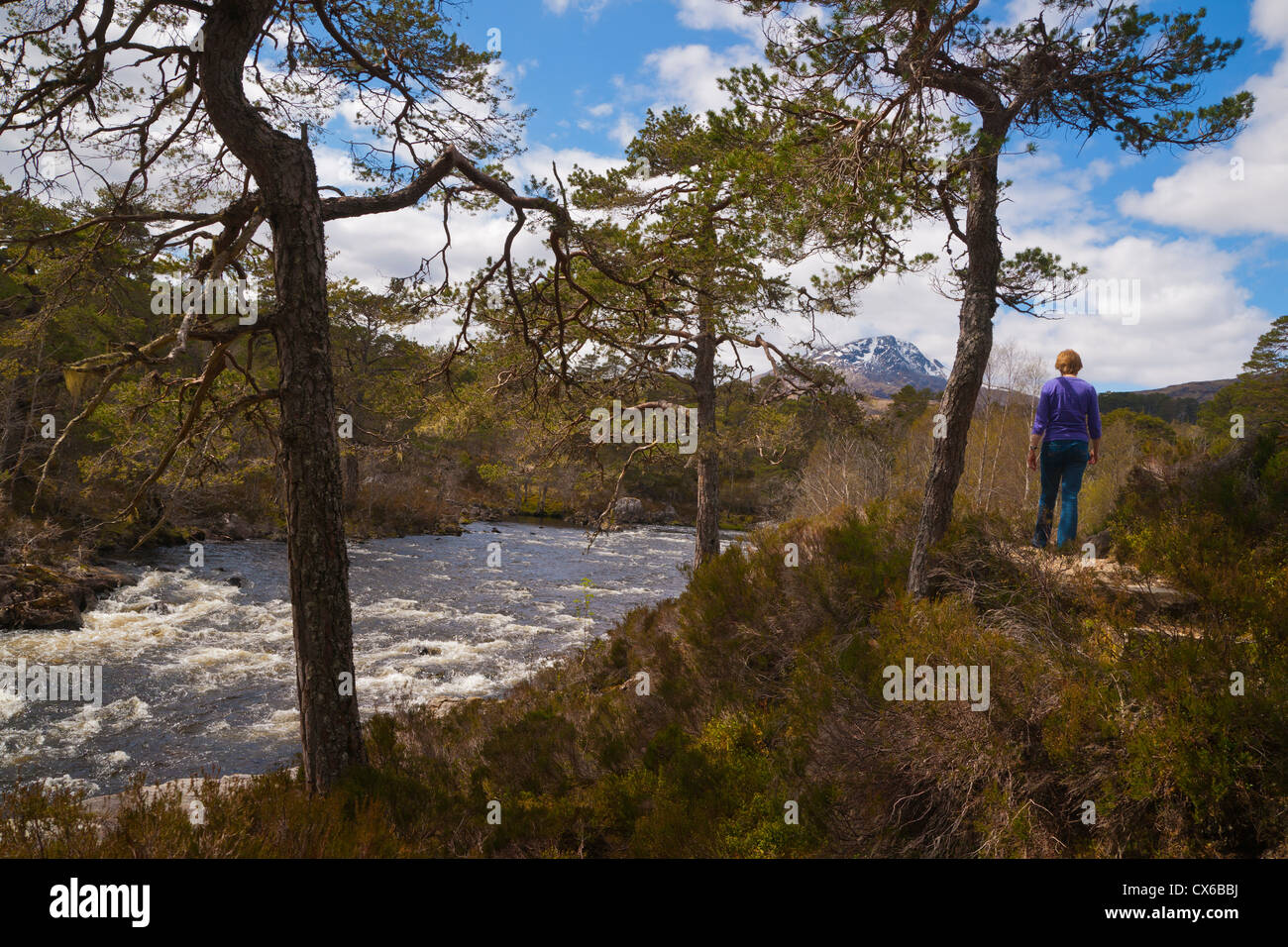 Walking in Glen Affric, printemps, Inverness, Écosse, région des Highlands Banque D'Images