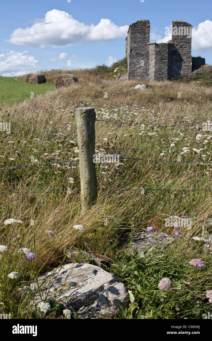 Le phare de St John's Point, Killough, Irlande du Nord Banque D'Images