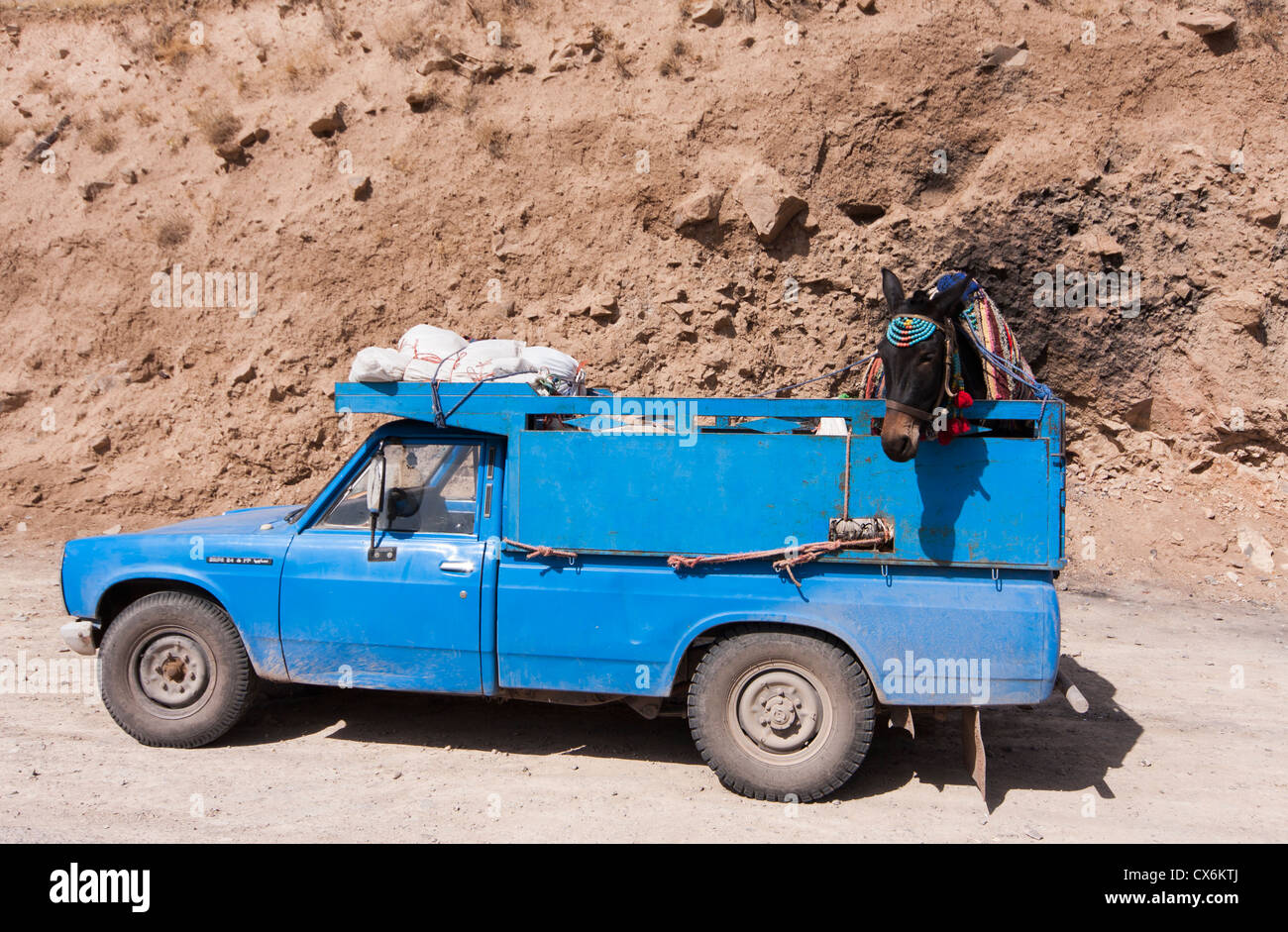 Cheval décoré en attente dans un camion bleu dans la vallée d'Alamut, Iran Banque D'Images