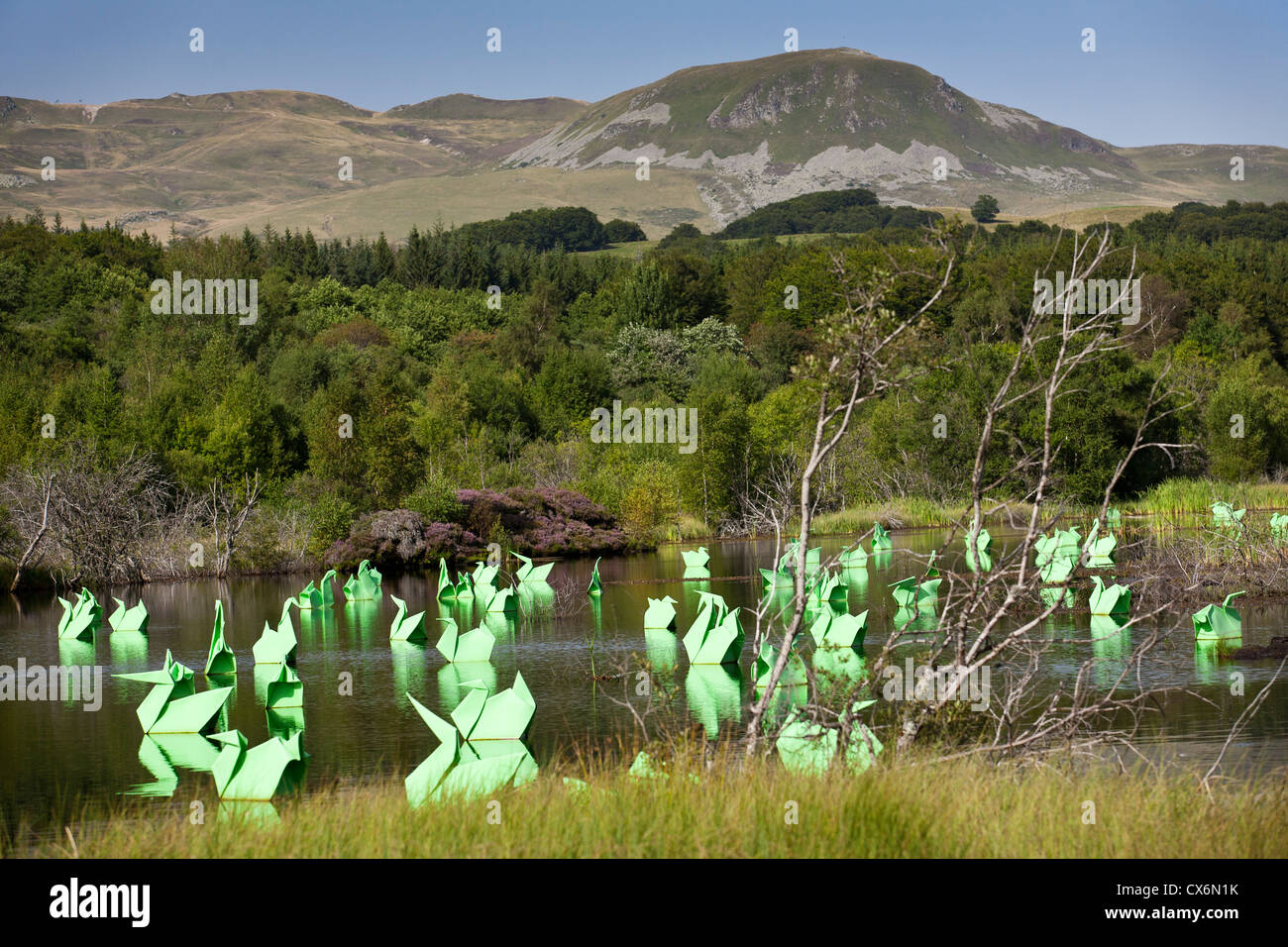 Le Land Art appelée "Origamis", réalisé par Antoine MILIAN, l'artiste plasticien français. Origami et les canards. Banque D'Images
