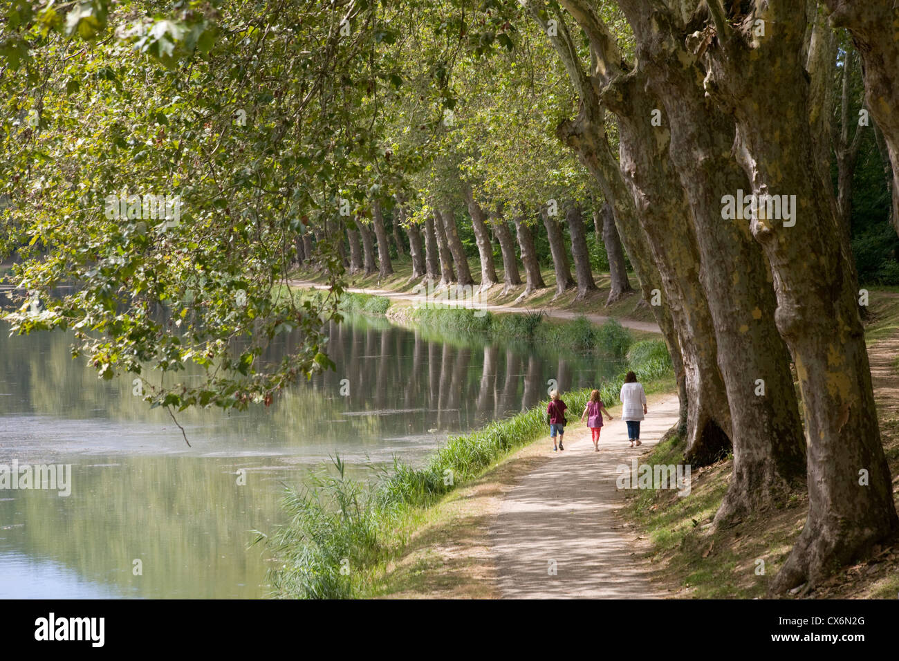 Canal latéral à la Garonne (Canal du Midi) près de Castets en Dorthe, Gironde, France Banque D'Images