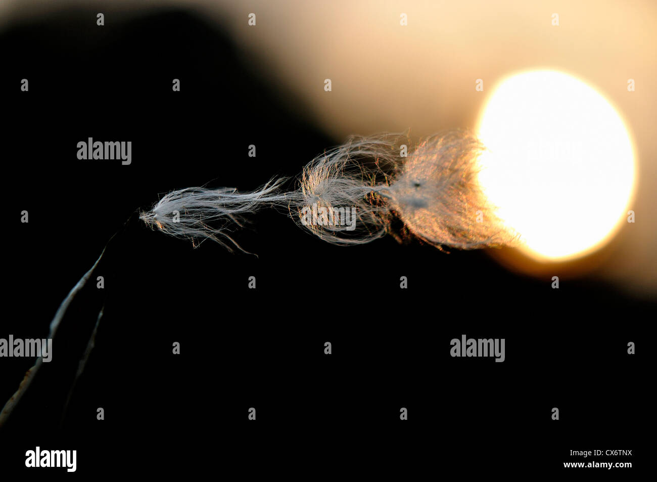 Vers le ciel Banque D'Images