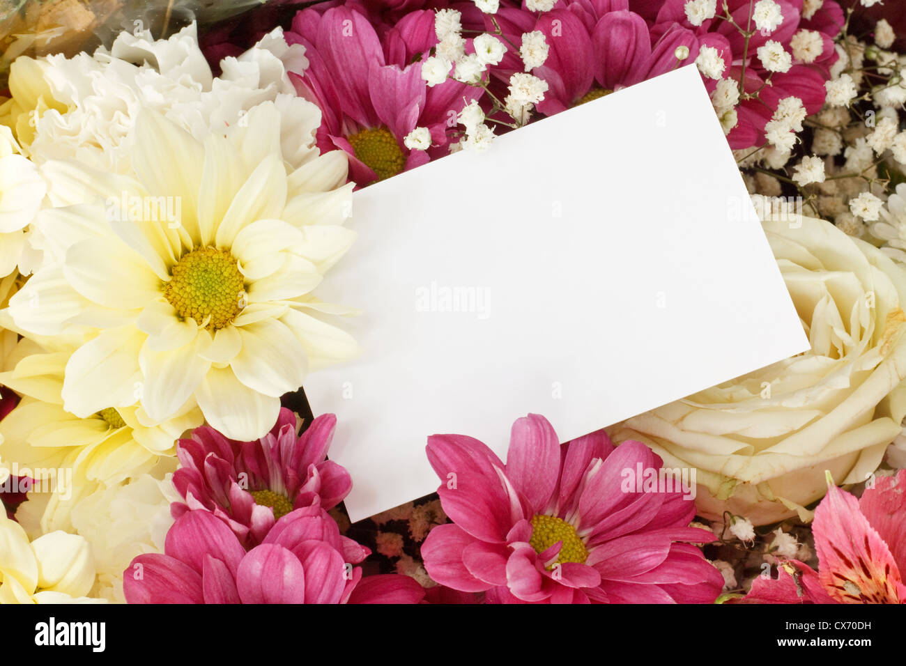 Chrysanthème bouquet floral frame avec carte de vœux vierge pour insérer votre message ou les fleuristes branding Banque D'Images