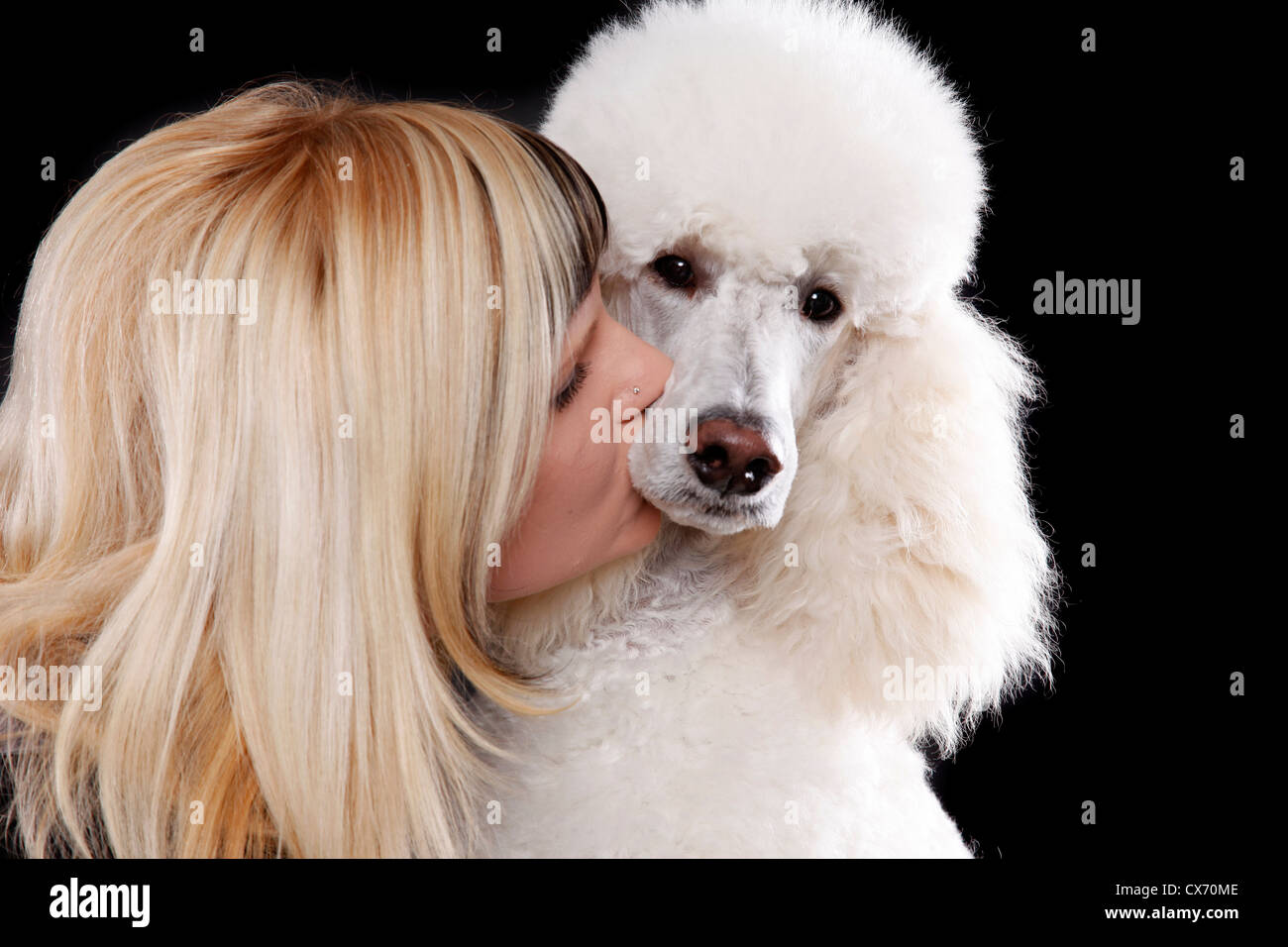 Jeune femme avec poodle Banque D'Images