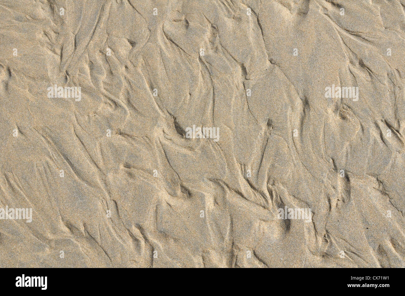 Sable ondulé / crêtes fluviales sur la plage / le rivage après que la marée vient de se remarier. Plage de Perranporth, Cornouailles. Concept de modèles de flux de type Mars. Banque D'Images