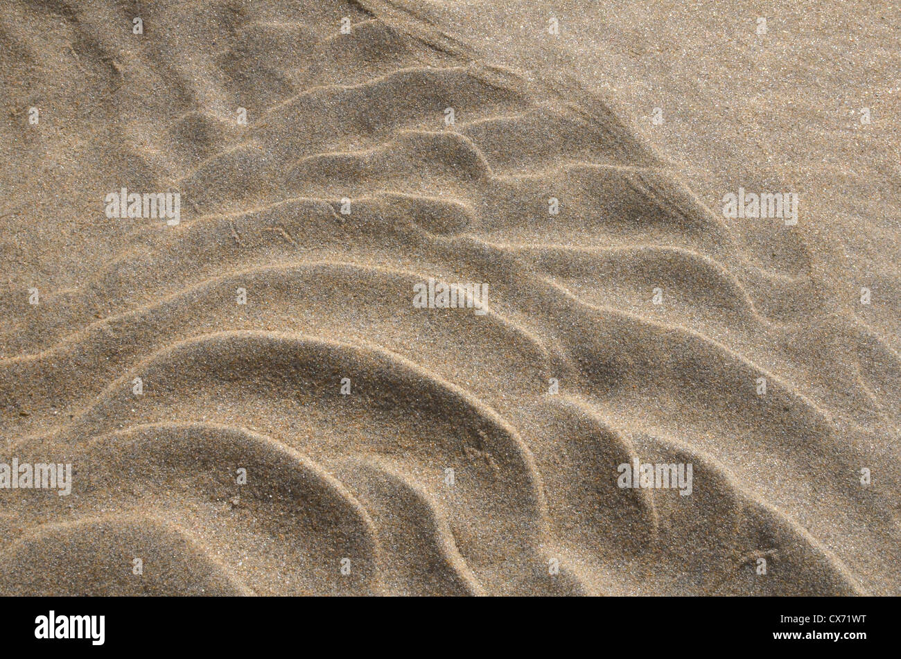 Sable rippé / crêtes fluviales sur la plage / le rivage après que la marée vient de se remarier. Plage de Perranporth, Cornouailles. Concept de modèles de flux de type Mars. Banque D'Images