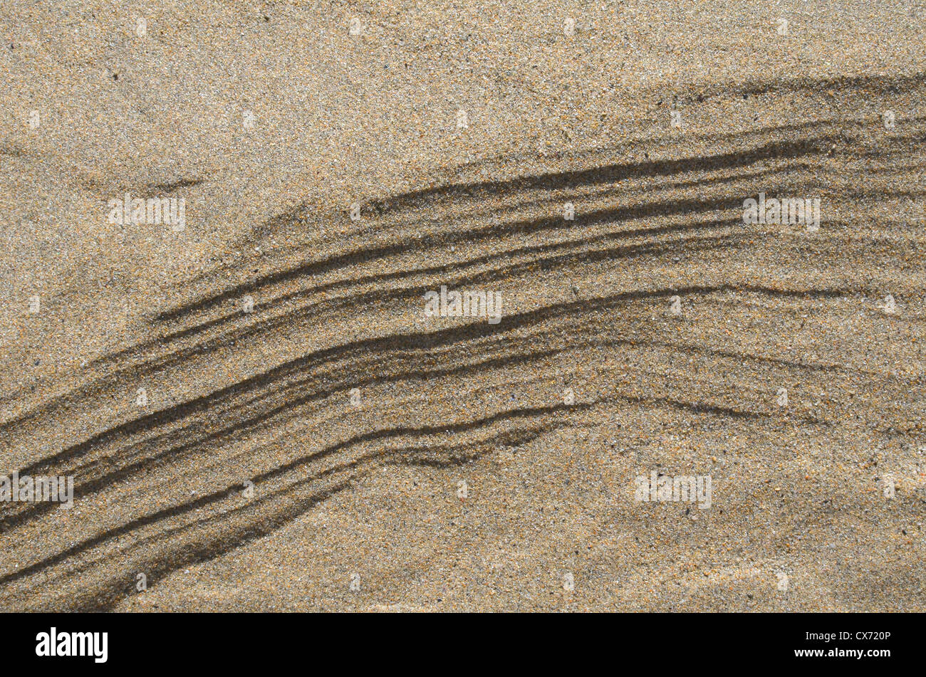 Sable ondulé / crêtes fluviales sur la plage / le rivage après que la marée vient de se remarier. Plage de Perranporth, Cornouailles. Concept de modèles de flux de type Mars. Banque D'Images