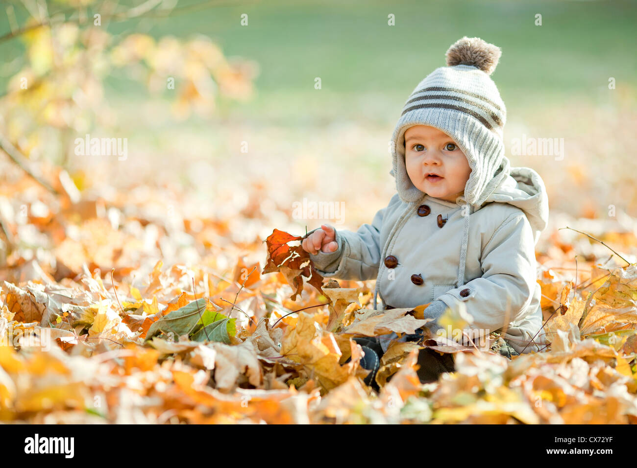 Un An Et Demi Beau Bebe Garcon Sur Le Choix De L Emplacement Les Feuilles D Automne Photo Stock Alamy