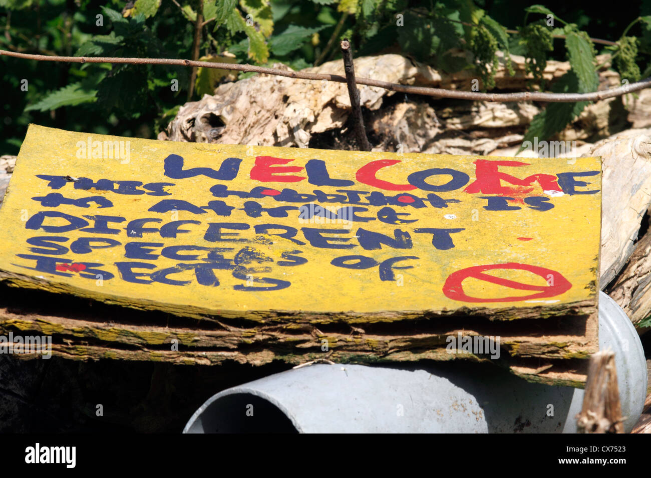 Le bois pourri pour insectes St Ann's Heritage allotissements Portes Ouvertes 2012, dimanche 9 septembre 11h à 16h. Ateliers et activités de la famille, du patrimoine et des visites de la faune autour du site, scrummy locale et la production destinée à la vente, visite des jardins privés et des projets communautaires Banque D'Images
