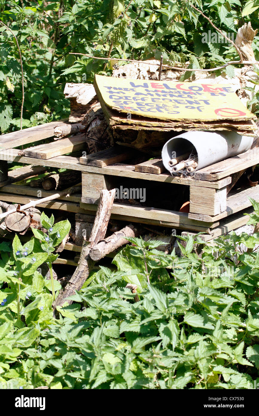 Le bois pourri pour insectes St Ann's Heritage allotissements Portes Ouvertes 2012, dimanche 9 septembre 11h à 16h. Ateliers et activités de la famille, du patrimoine et des visites de la faune autour du site, scrummy locale et la production destinée à la vente, visite des jardins privés et des projets communautaires Banque D'Images