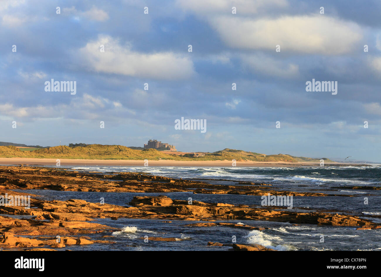 Château de Bamburgh sur la côte de Northumberland vu de Largs sur un matin d'été. Banque D'Images