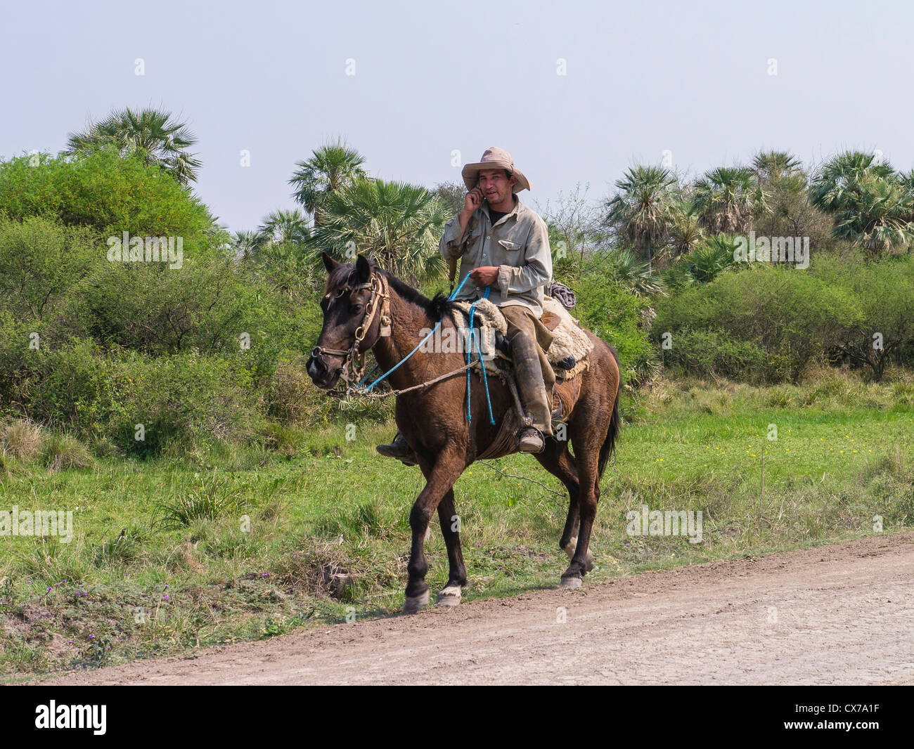 Homme cavalier dans la région du Chaco au Paraguay du nord. Banque D'Images