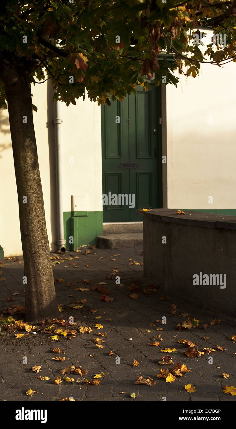 Les feuilles d'automne en sentier, avec derrière la porte verte Banque D'Images