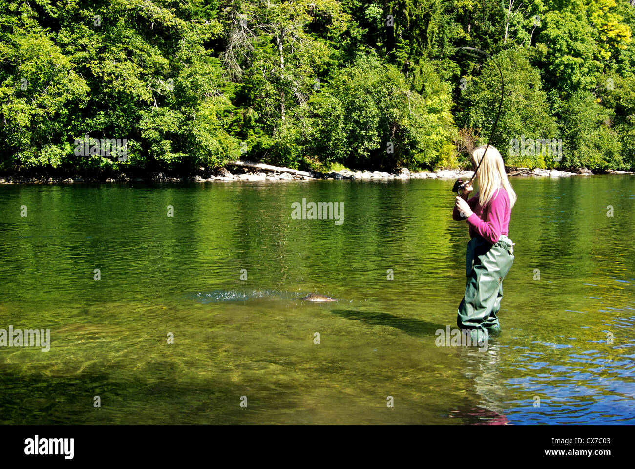 Jeune femme allemande blonde attraper le saumon rose avec bobine canne Campbell River BC Canada Banque D'Images