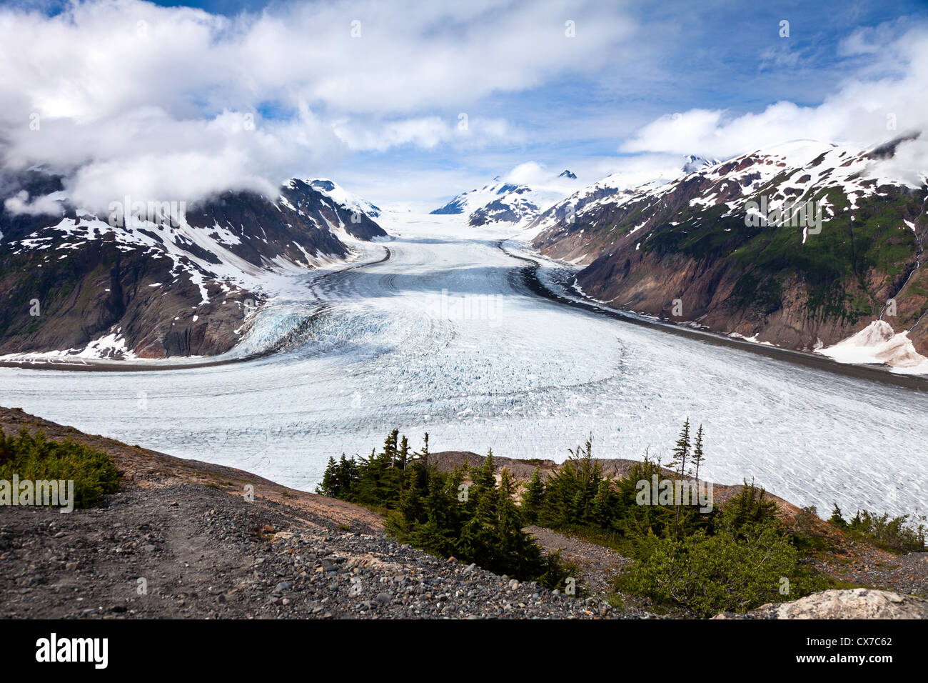 Glacier du saumon de l'Alaska à Hyder Banque D'Images