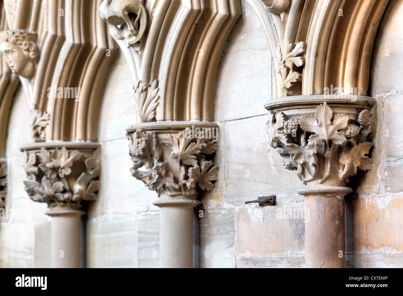 Feuillage sculpté dans la salle capitulaire, Southwell Minster, Southwell, Nottinghamshire, Angleterre, RU Banque D'Images