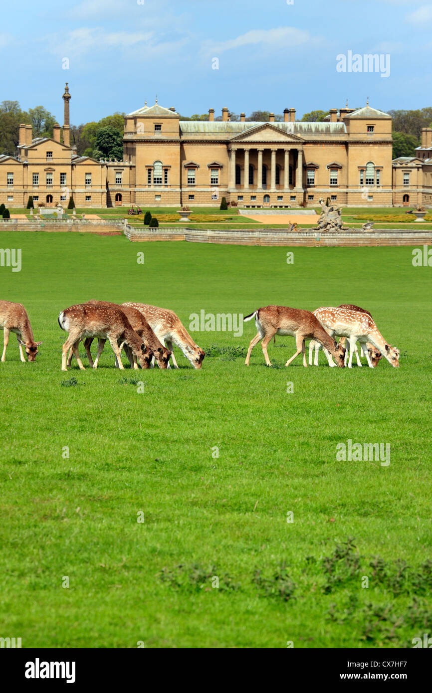 Holkham Hall, Norfolk, England, UK Banque D'Images