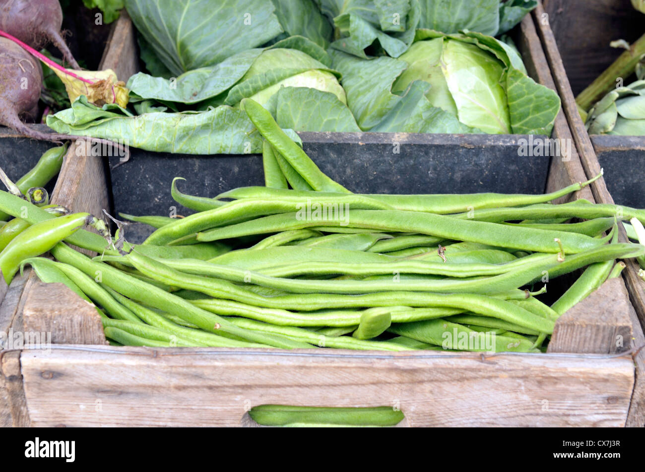 Gros haricots Banque D'Images