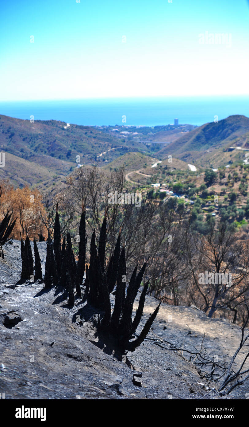 Marbella, Espagne sur la campagne brûlée après des incendies de forêt Banque D'Images