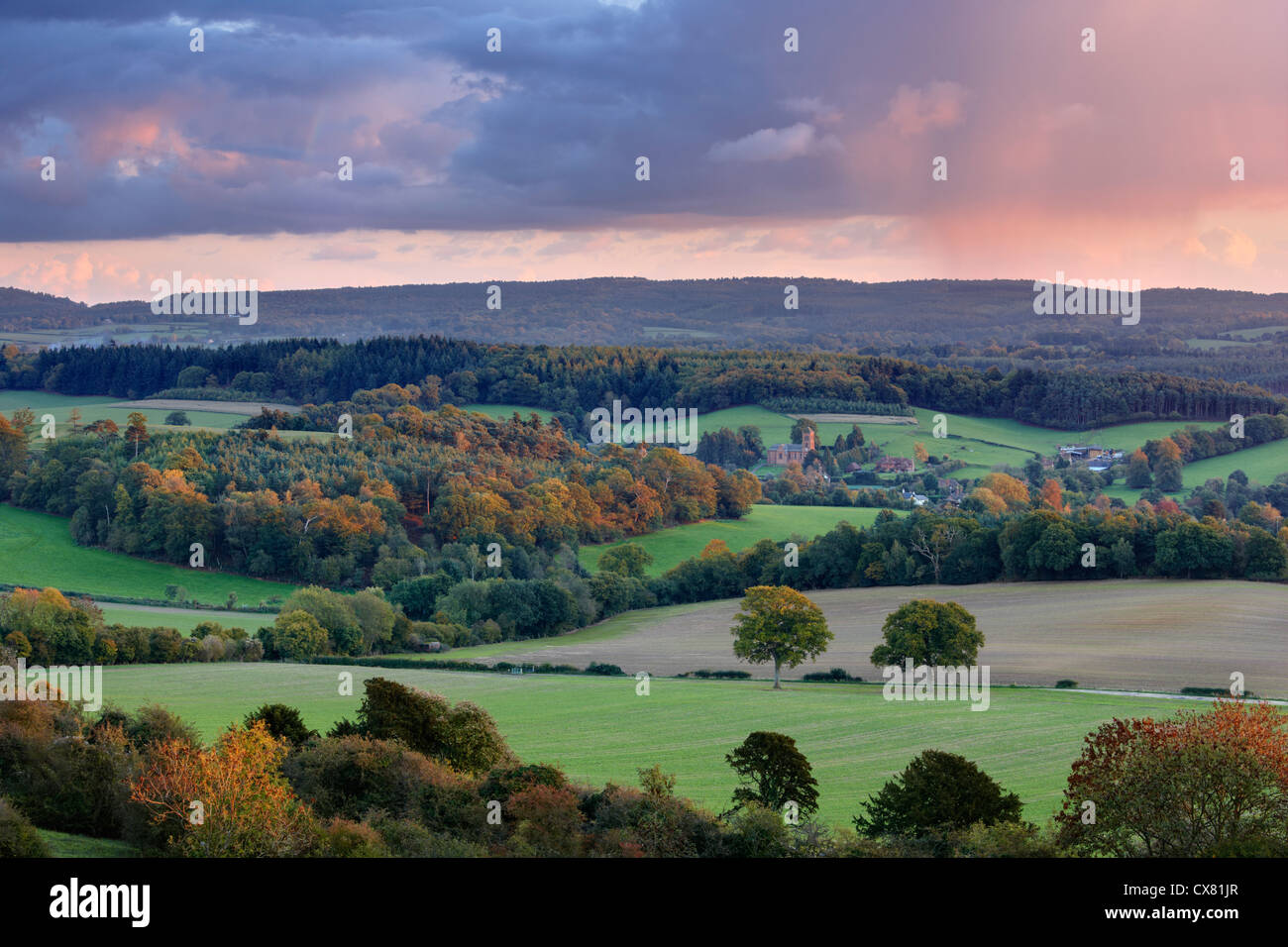Vues vers Albury et les collines du Surrey countryside Banque D'Images