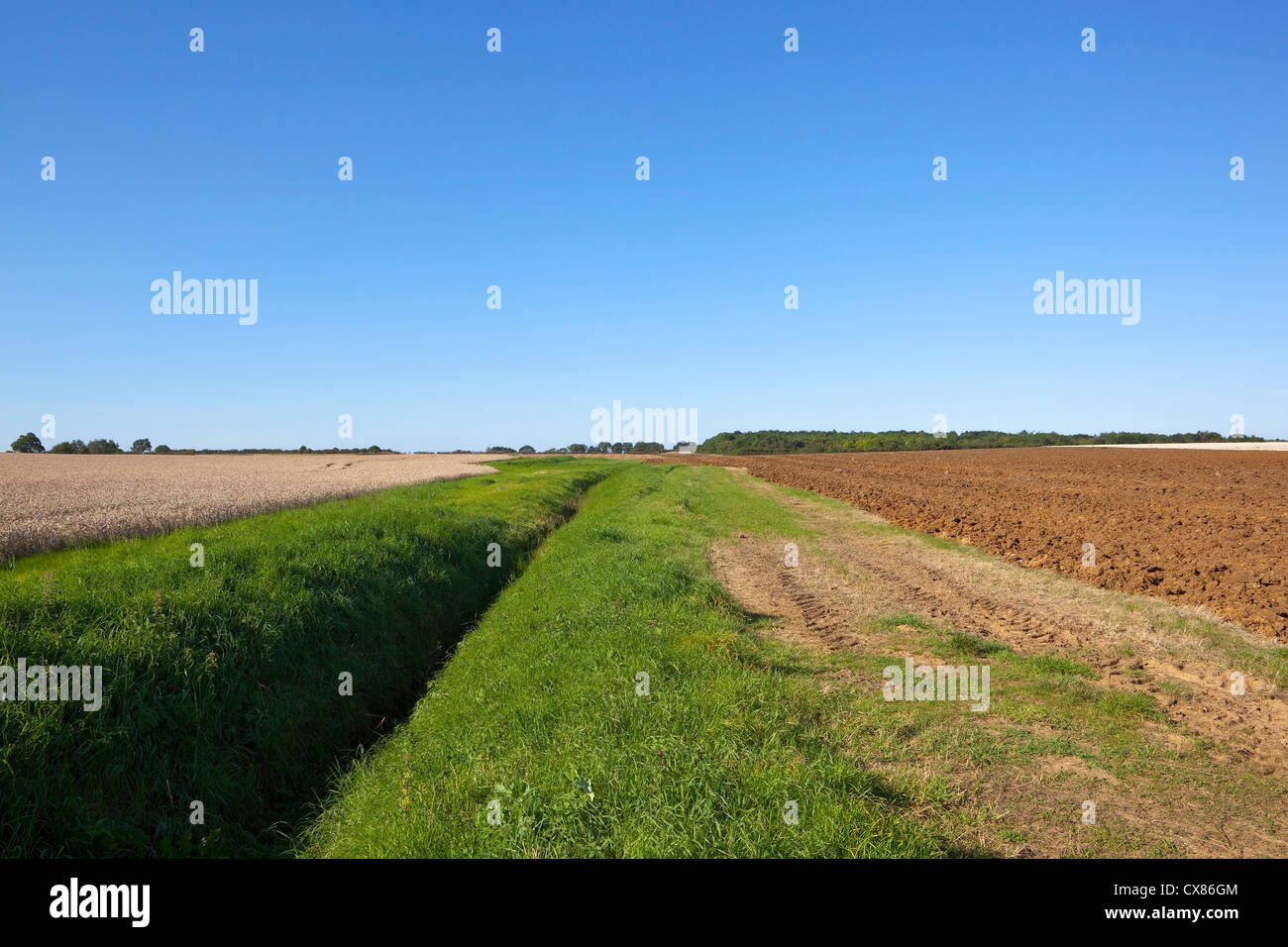 Un paysage agricole avec un fossé herbeux et champs arables sous un ciel bleu Banque D'Images
