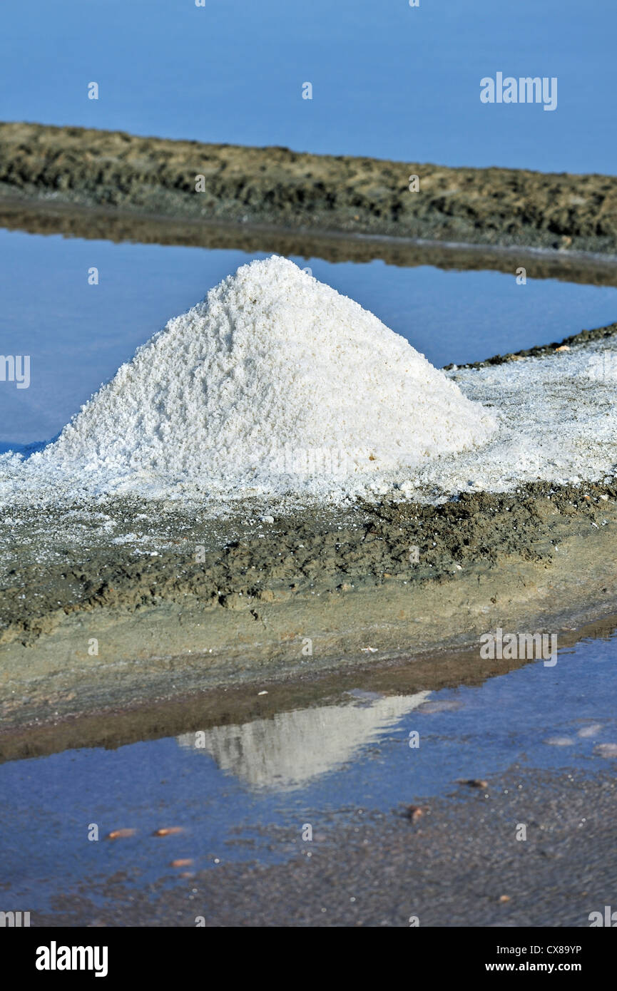 Pile en pan de sel pour la production de fleur de sel et le sel de mer le long de la côte de l'île Ile de Ré, Charente-Maritime, France Banque D'Images