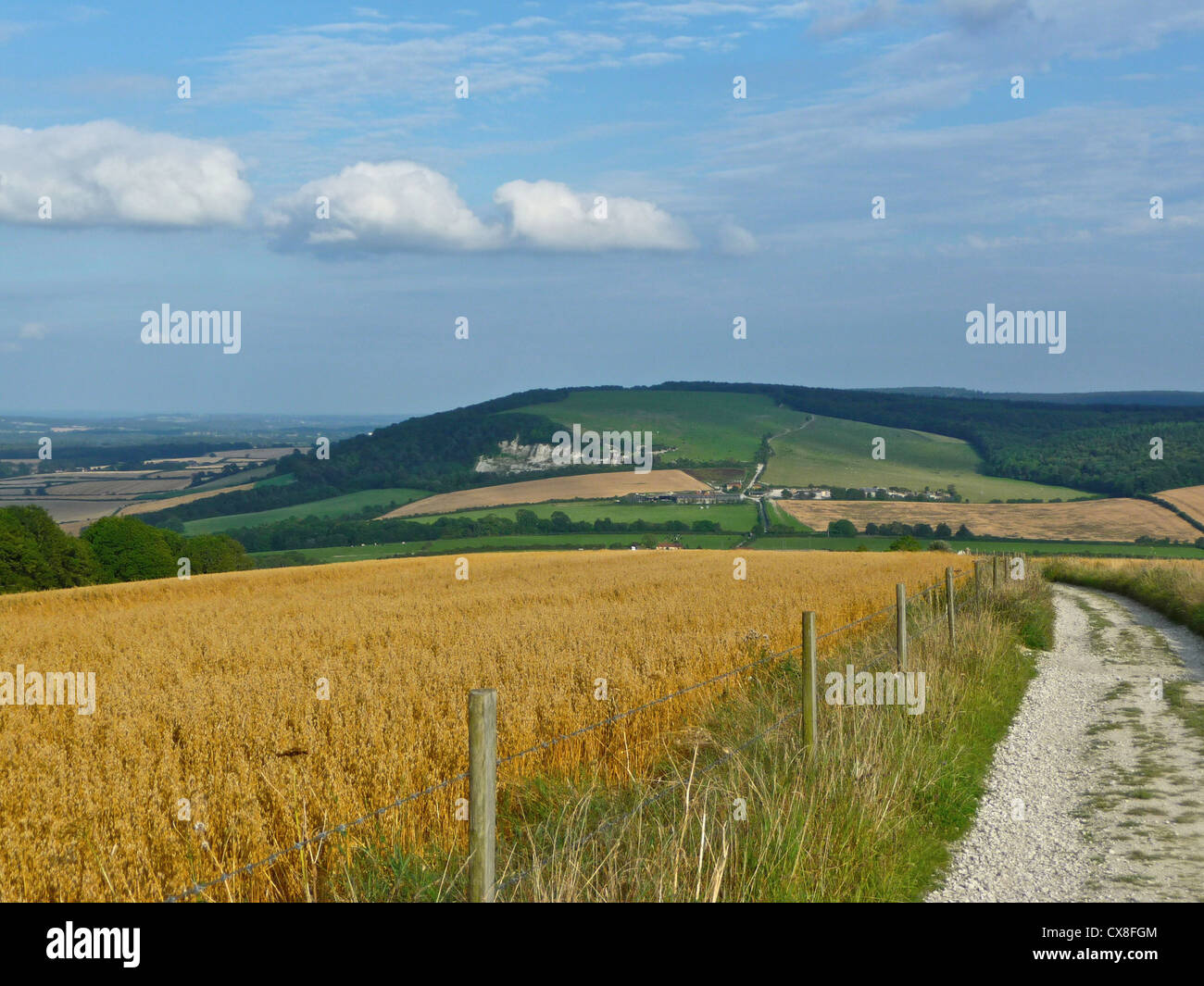 Une vue sur les South Downs Way West Sussex. C'est un sentier national sous la forme d'un chemin de 100 milles pour les marcheurs, cyclistes et cavaliers entre Winchester et Eastbourne. Banque D'Images