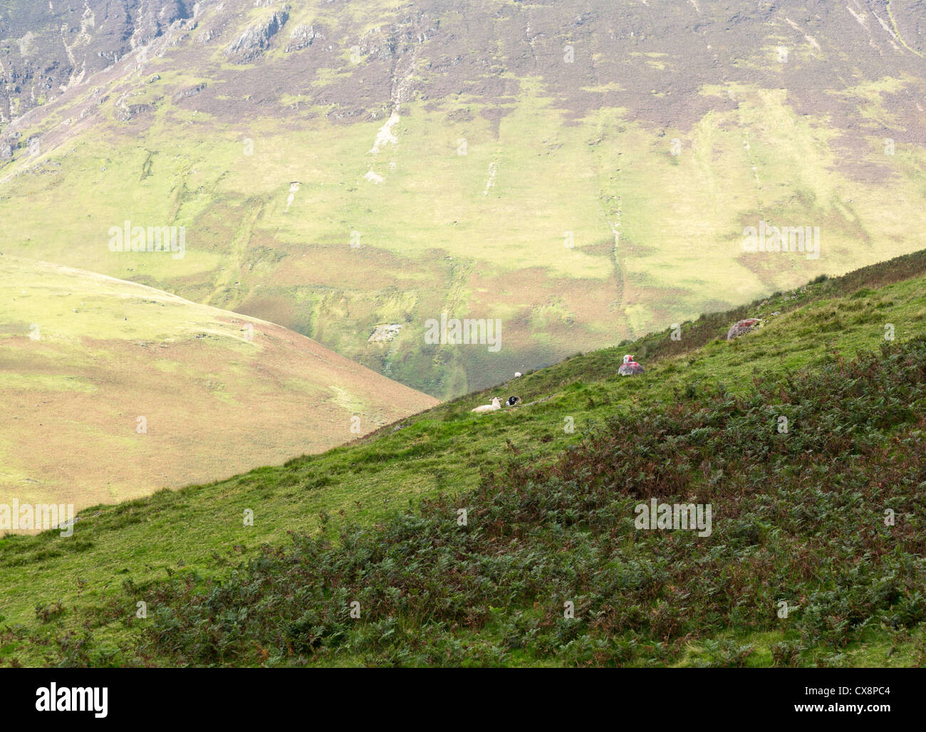 Vue sur la vallée de pass montrant Newlands face raide dans les montagnes et les collines de Lake District Banque D'Images