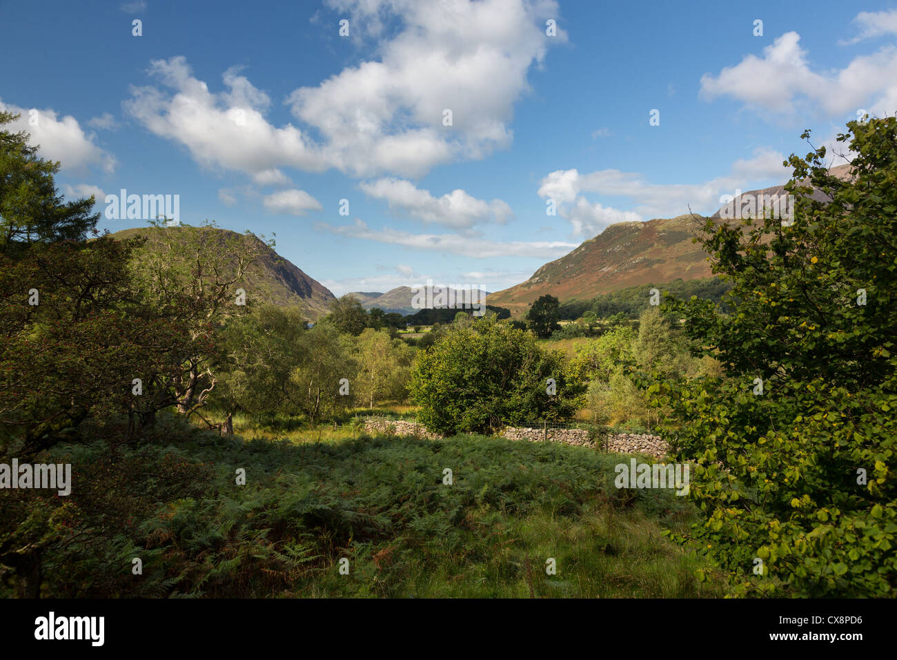 Vue de village de Buttermere Lake District Banque D'Images