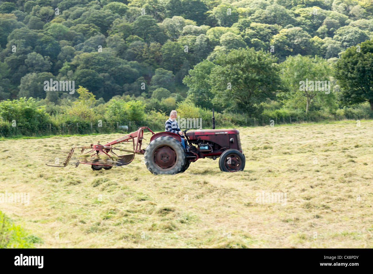 BUTTERMERE, ANGLETERRE - 5 SEPTEMBRE : battage à l'aide de maïs fermier tracteur antique le 5 septembre 5, 2012. Banque D'Images