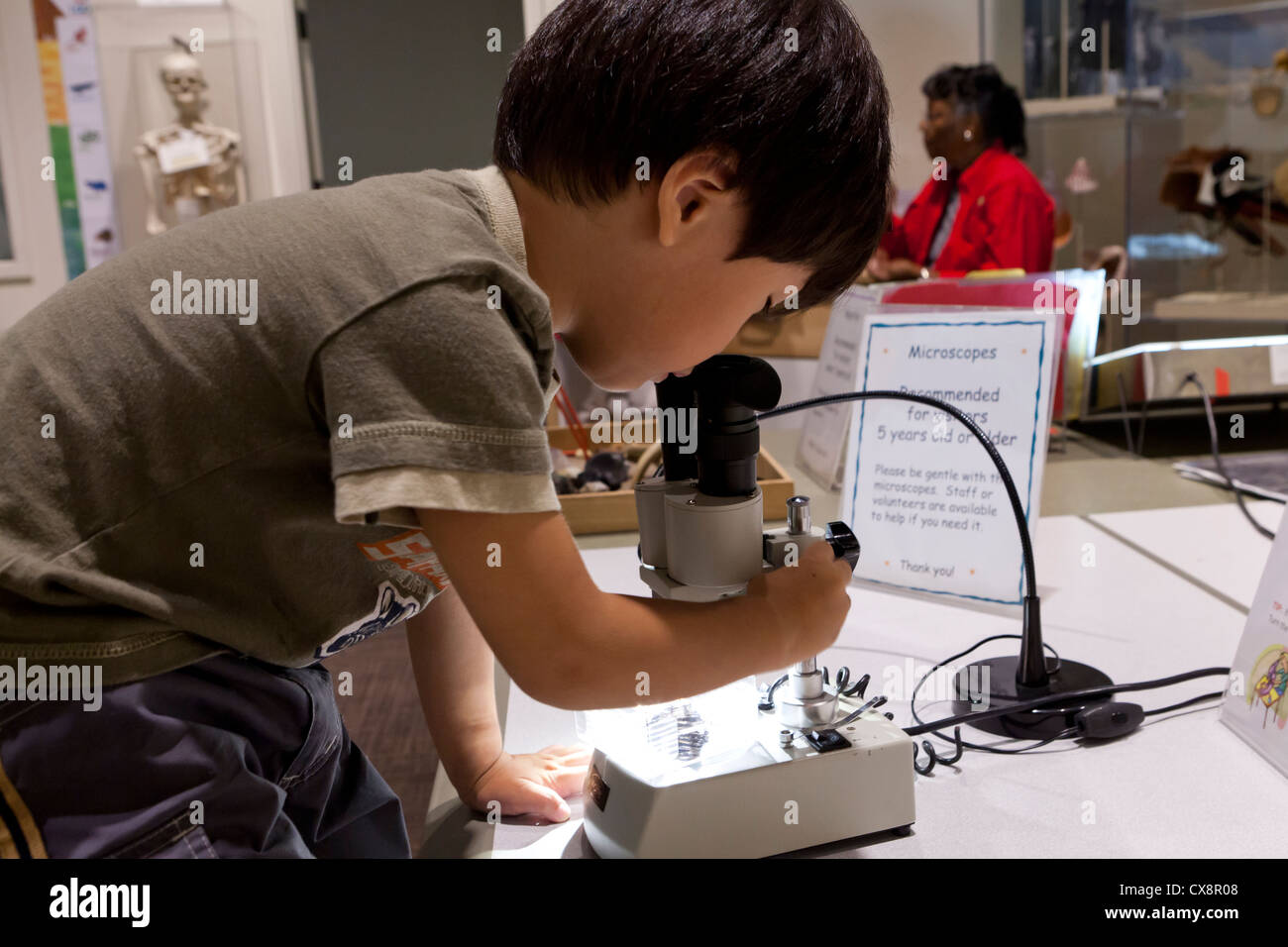 Petit enfant à la recherche dans l'oculaire d'un microscope Banque D'Images