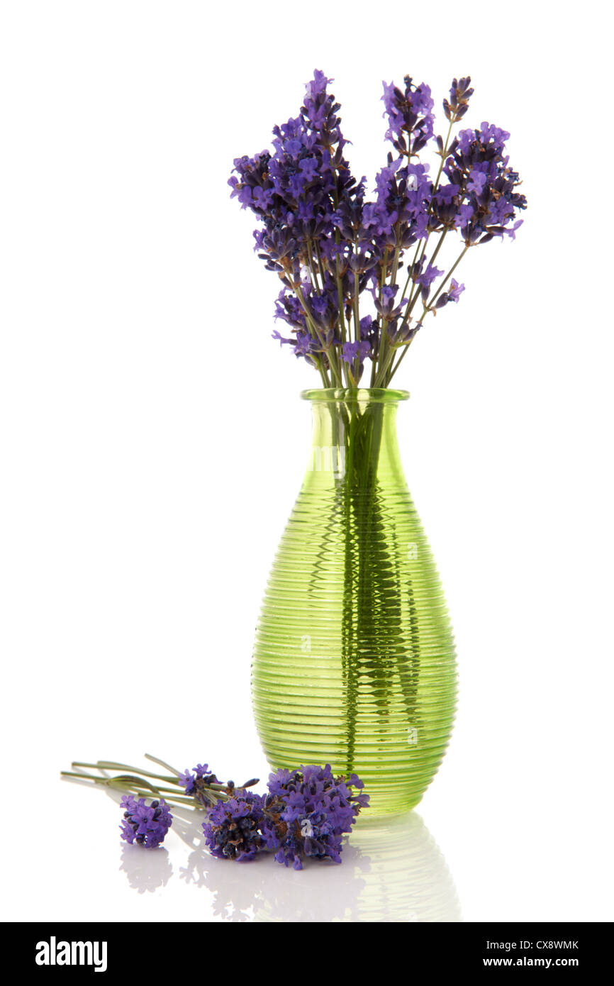 Vase en verre vert avec lavande bouquet Banque D'Images