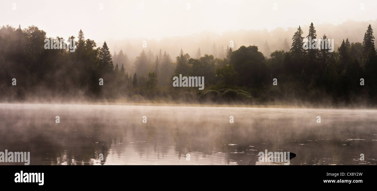 Le Lac Louisa dans la brume du matin, le parc provincial Algonquin, Canada Banque D'Images