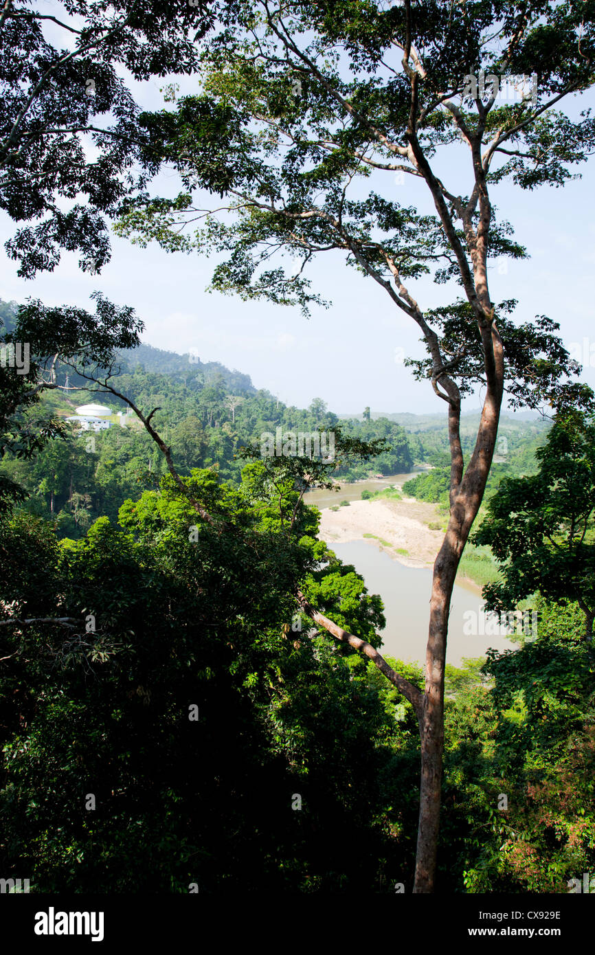 Taman Negara National Park dans le centre de la Malaisie Banque D'Images